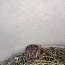 ���� ������, ������, 43 ���� - ��������� 24 ���� 2023 � ������ ���� ����������