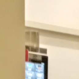 ������, ������, 51 ���