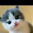 ���� Arif, ����, 57 ��� - ��������� 17 ���� 2023 � ������ ���� ����������