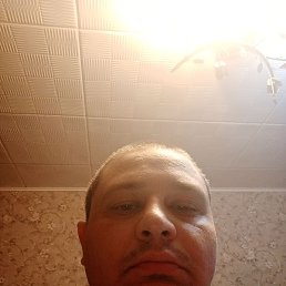 �������, �����, 36 ���