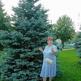 ������, ��������, 67 ���