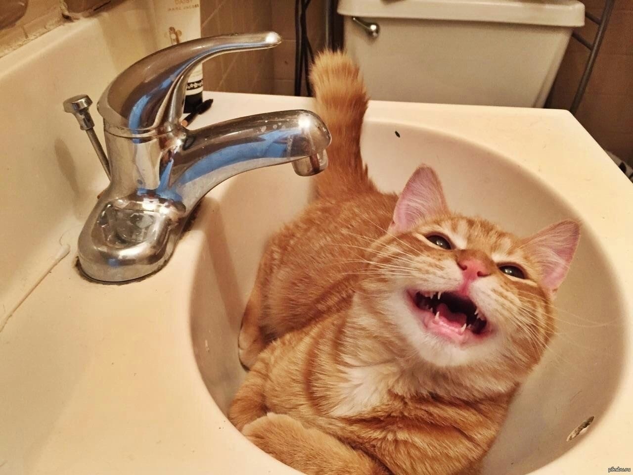  !