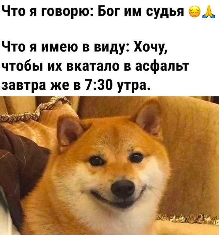 ☆ ☆ - 19  2023  02:36