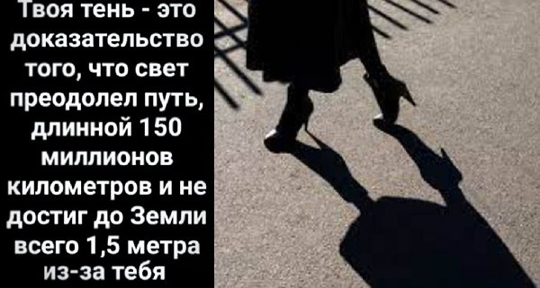   - 26  2023  18:56