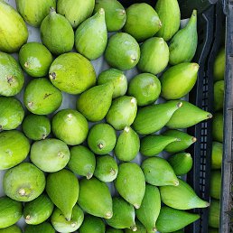 ���� ����, �����, 42 ���� - ��������� 11 ���� 2023