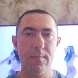 ����, ������, 43 ����