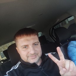 �����, ���������, 46 ���