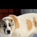 ���� ������, ������, 44 ���� - ��������� 25 ���� 2023 � ������ ���� ����������