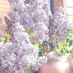 ���� �����, ������, 63 ���� - ��������� 25 ��� 2023