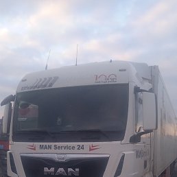 ����������, ����������, 41 ���