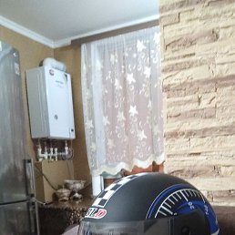 �����, ������, 36 ���