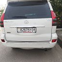 ���� ����, ������, 43 ���� - ��������� 2 ������� 2023 � ������ ���� ����������