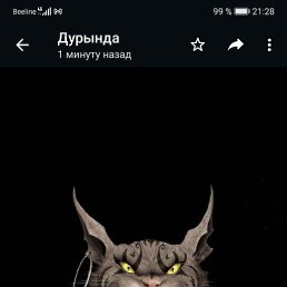 ������, ������, 51 ���