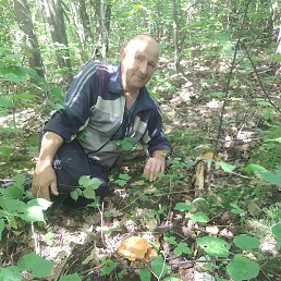 ������, ������, 63 ����