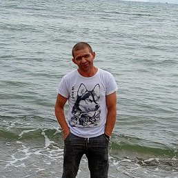 ������, ������, 41 ���