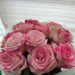 �����, �����, 47 ���