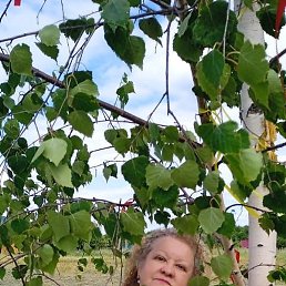 �����, ������, 65 ���