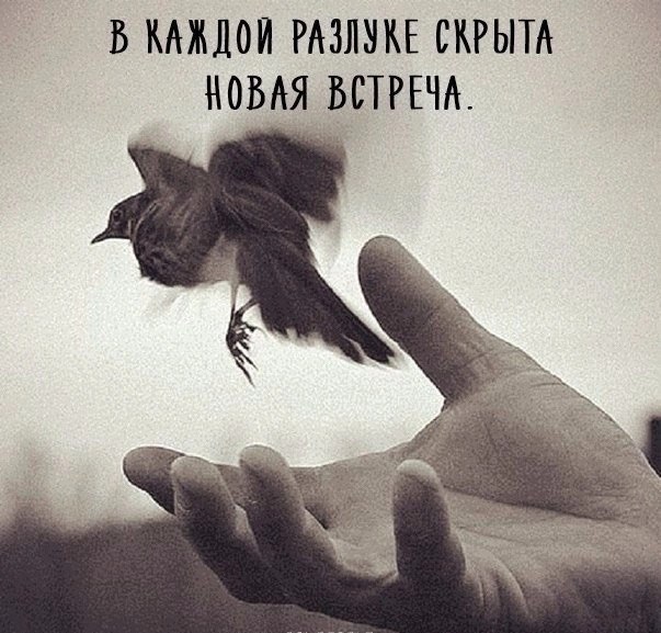   - 23  2023  22:18