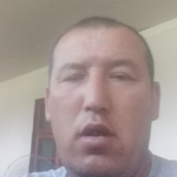 �������, �����, 44 ����