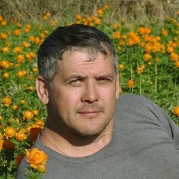 ��������, ����������, 59 ���