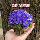 ���� �������, ��������� - ��������� 24 ������� 2023 � ������ ���� ����������