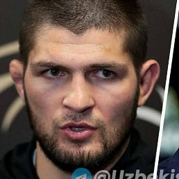 Jamshid Bek, �������, 23 ����