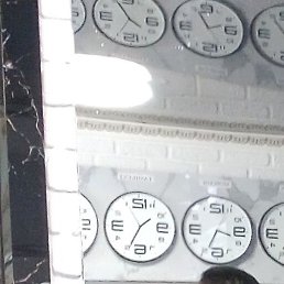 �������, �����������, 48 ���