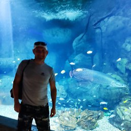 �������, ������, 44 ����