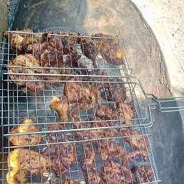 ����, ������-��-����, 36 ���