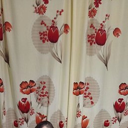 ����, �����-���������, 40 ���