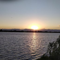 �����, ������, 55 ���