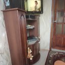 ���� ���, ���������, 51 ��� - ��������� 11 ��� 2023