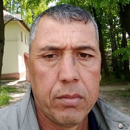 �����, ������, 41 ���