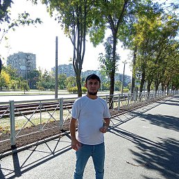 ����, �������, 36 ���