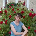 ���� �������, ������, 52 ���� - ��������� 9 ���� 2023