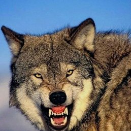 ���� �����, �����, 45 ��� - ��������� 1 �������� 2023