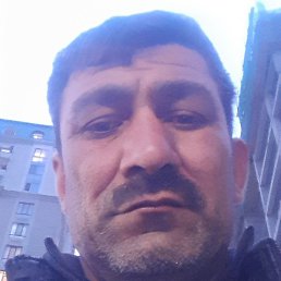 Zaur, , 44 