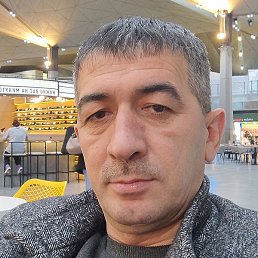 �����, �����-���������, 41 ���