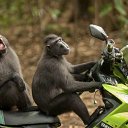 ���� ��������, �����-���������, 60 ��� - ��������� 28 ���� 2023 � ������ ���� ����������