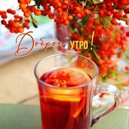 ��������, ������, 38 ���