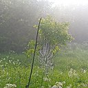 ���� �������, �����, 54 ���� - ��������� 25 ���� 2023 � ������ ���� ����������