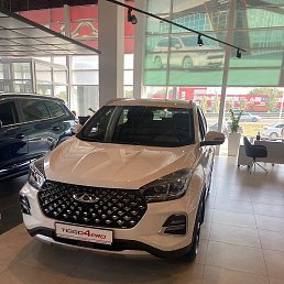 ��������, �������, 37 ���