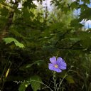 ���� �������, ������, 28 ��� - ��������� 8 ���� 2023 � ������ ���� ����������