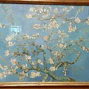 ���� �������, ������, 62 ���� - ��������� 10 ������� 2023