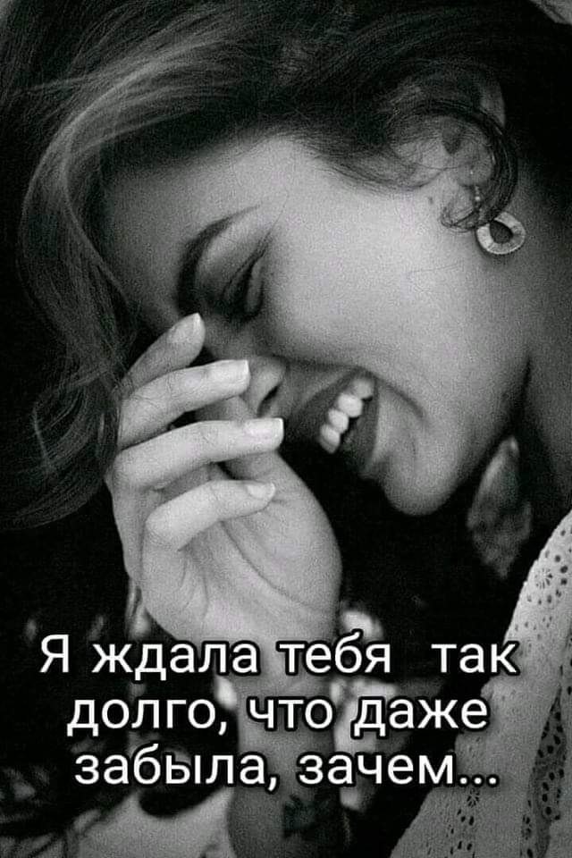 -     .      ...   -  ...