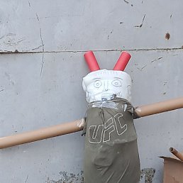 �����, ������, 37 ���