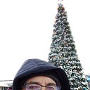 ���� ����, ������, 48 ��� - ��������� 25 ������� 2023 � ������ ���� ����������