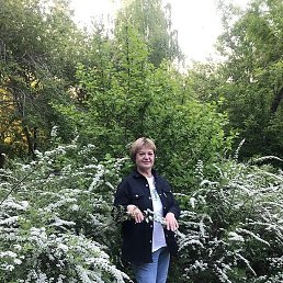 �������, ������������, 56 ���