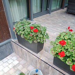 �������, ������, 35 ���