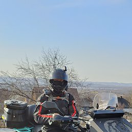 Den, ������, 41 ���